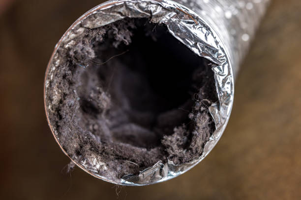 Best Affordable HVAC Duct Cleaning  in Ajo, AZ