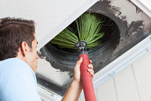 Best Air Duct Cleaning Near Me  in Ajo, AZ