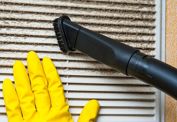 Best Local Air Duct Cleaning Services  in Ajo, AZ